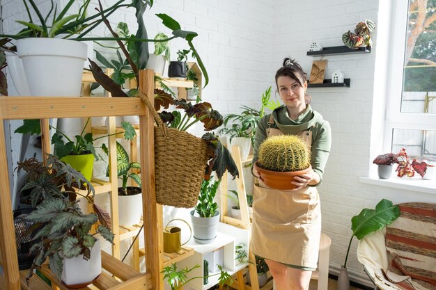 Large echinocactus Gruzoni in the hands of a woman in the interior of a green house