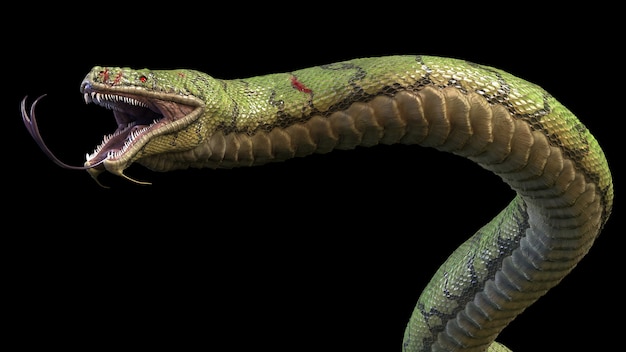 Premium Photo  A giant predatory snake. 3d illustrations