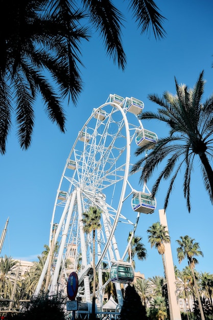 Foto una grande ruota panoramica nel centro della città di almeria spagna