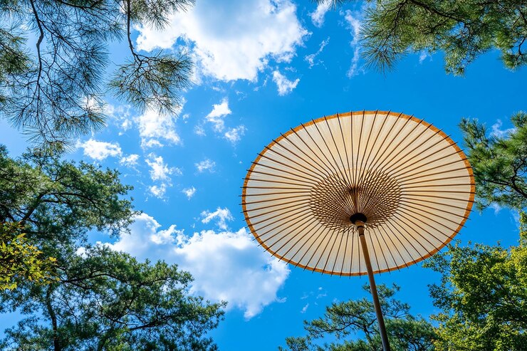 Photo 大きなフェリスホイールが空に映し出され太陽がそれを照らしている