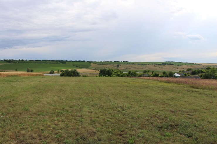 Photo a large field of grass