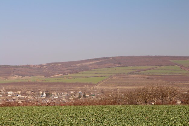 Foto un grande campo con un grande campo di erba e alberi