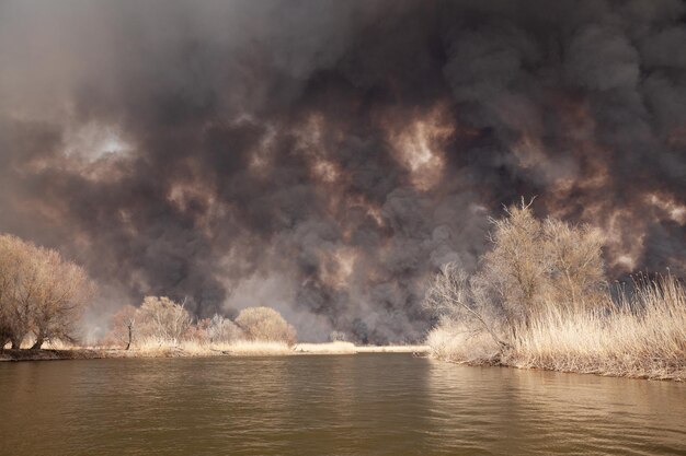 Large fire on banks of River View from water  Fire mercilessly destroys flora and fauna Disaster