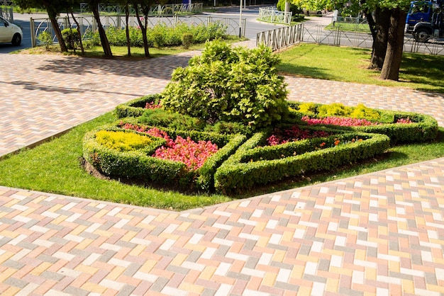 Photo a large flower bed under the sun