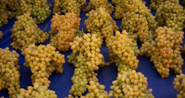 Large fresh juicy bunch of green grapes