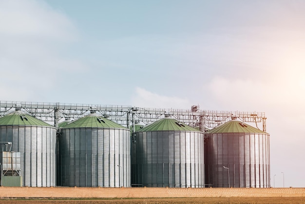 A large grain storage tank with a green roof sits in a field