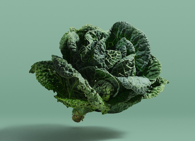 A large green cabbage with unfolded lush wrinkled relief leaves float in the air. Сreative vegetable composition.