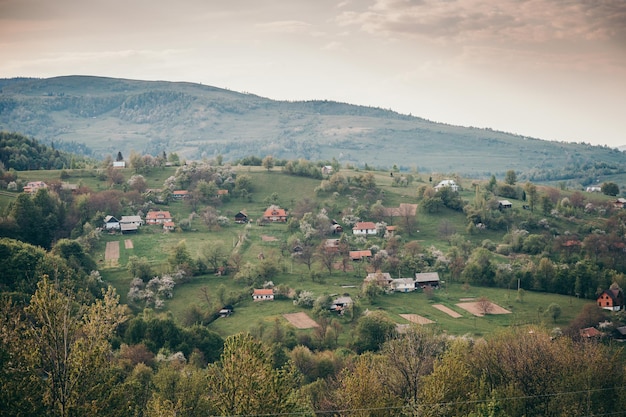 A large green field with a mountain in the background