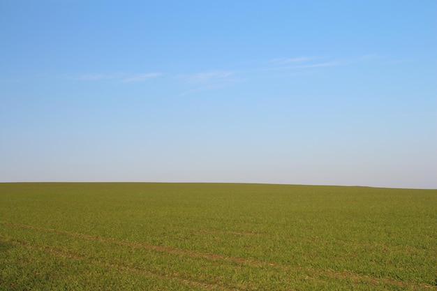 Photo a large green field