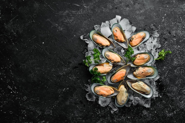 Large green mussels in shells on ice Seafood On a black stone background Top view Free space for text