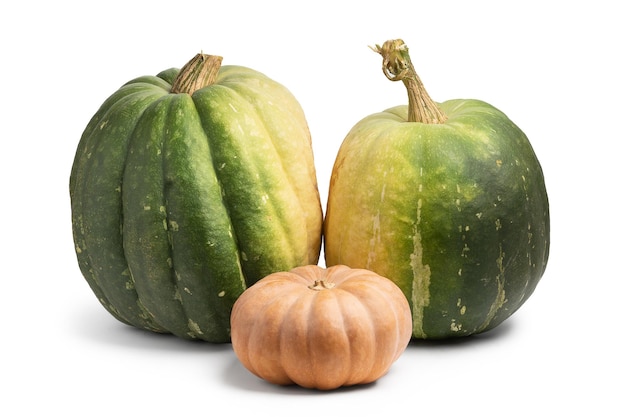 Large green and orange pumpinks isolated on a white background with shadows