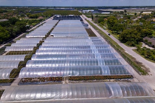 A large greenhouse with a lot of plastic sheets.