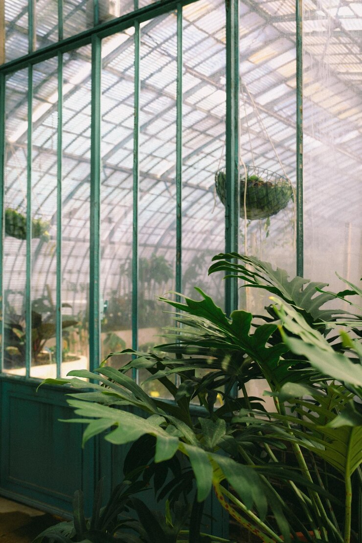 Photo 植物と窓のある大きな温室 ストック写真