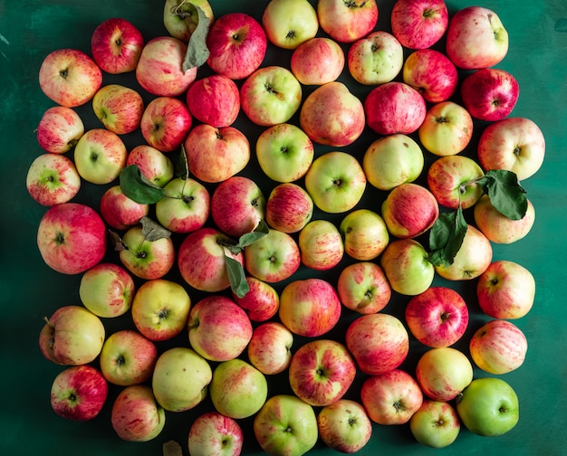 熟したリンゴの大規模なグループ