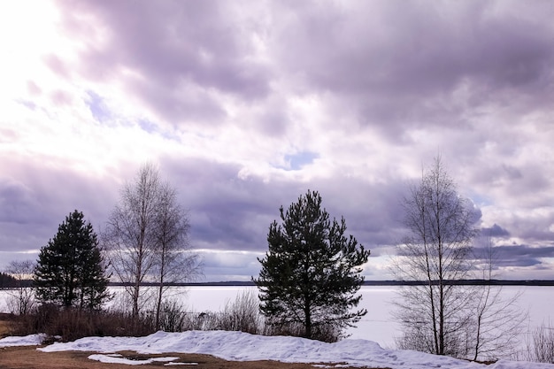 Фото Вид большого изображения ледяного озера зимнего леса. панорамный пейзаж с заснеженными деревьями, голубым небом с облаками, удивительным замерзшим озером с ледяной водой. фон сезонная зима пасмурно прохладная погода. копировать пространство