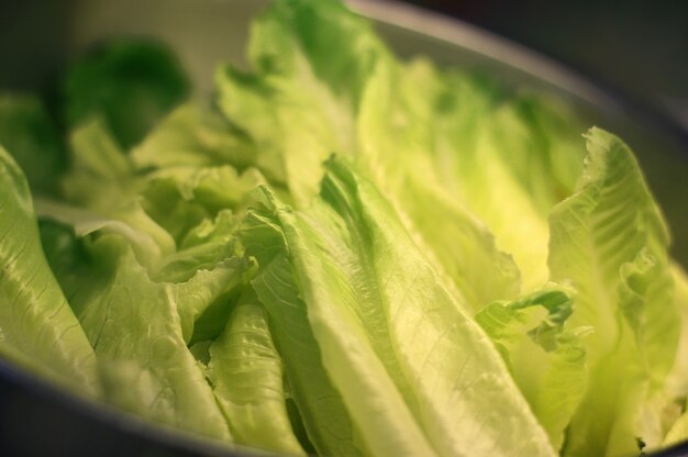 Large lettuce leaves in a silver bowl