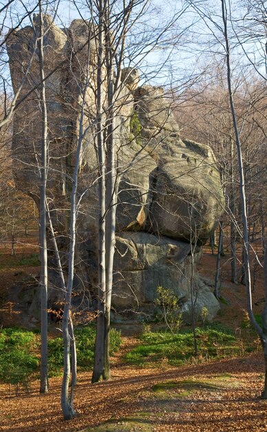 가을 숲의 큰 돌("Skeli Dovbusha", Ivano-Frankovsk Region, Ukraine)