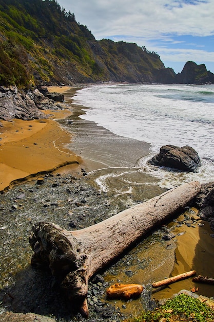 Large log on beach with cliffs and ocean waves