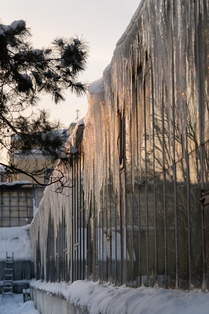 Large and long dangerous icicles hanging off of greenhouse eaves on frosty day in winter garden