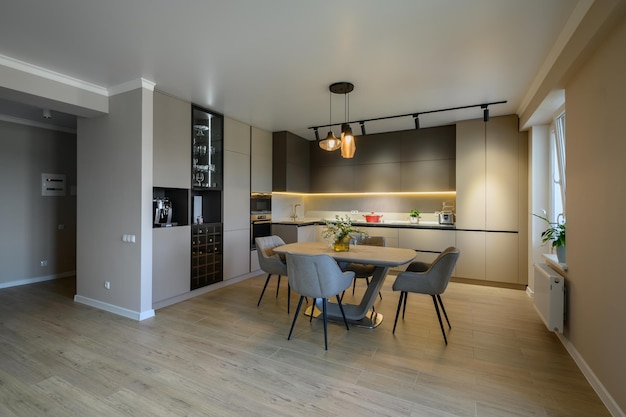 Large modern grey luxurious kitchen and dining room in studio apartment