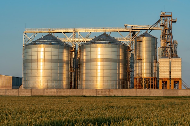 A large modern plant located near a wheat field for the storage and processing of grain crops view of the granary illuminated by the light of the setting sun against the blue sky harvest season