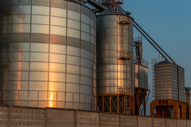 Большой современный завод, расположенный рядом с пшеничным полем, для хранения и переработки зерновых культур. Вид на зернохранилище, освещенное светом заходящего солнца на фоне голубого неба.