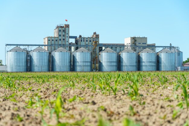 a large modern plant for the storage and processing of grain crops view of the granary on a sunny day against the blue sky end of harvest season