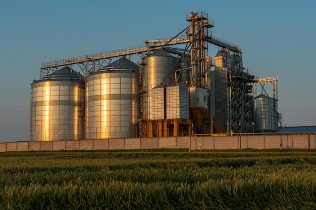 Un grande impianto moderno per lo stoccaggio e la lavorazione dei raccolti di grano vista del granaio in una giornata di sole contro il cielo blu fine della stagione del raccolto