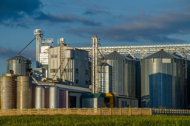 A large modern plant for the storage and processing of grain crops view of the granary on a sunny day against the blue sky End of harvest season