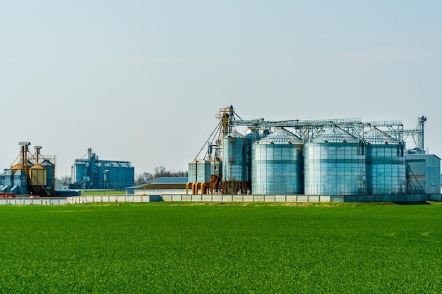 A large modern plant for the storage and processing of grain\
crops view of the granary on a sunny day large iron barrels of\
grain silver silos on agro manufacturing plant for processing and\
drying