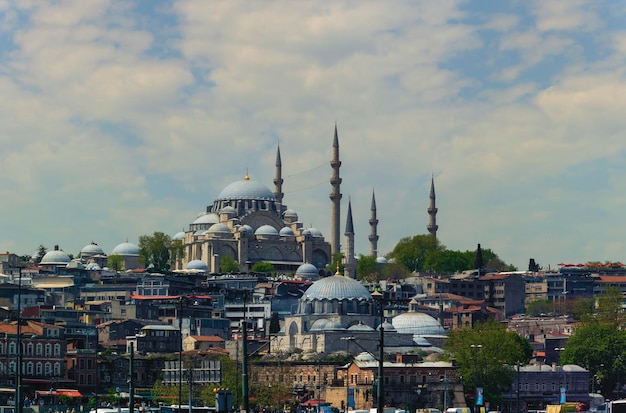 A Large Mosque in Istanbul