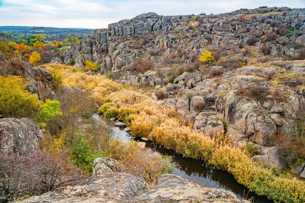 絵のように美しいウクライナとその美しい自然の小さな川の上に横たわる緑の植物で覆われた多数の石の鉱物