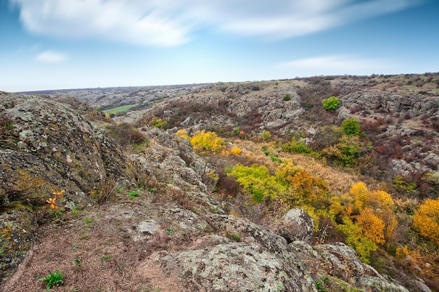 A large number of stone minerals covered with green vegetation lying above a small river in picturesque Ukraine and its beautiful nature