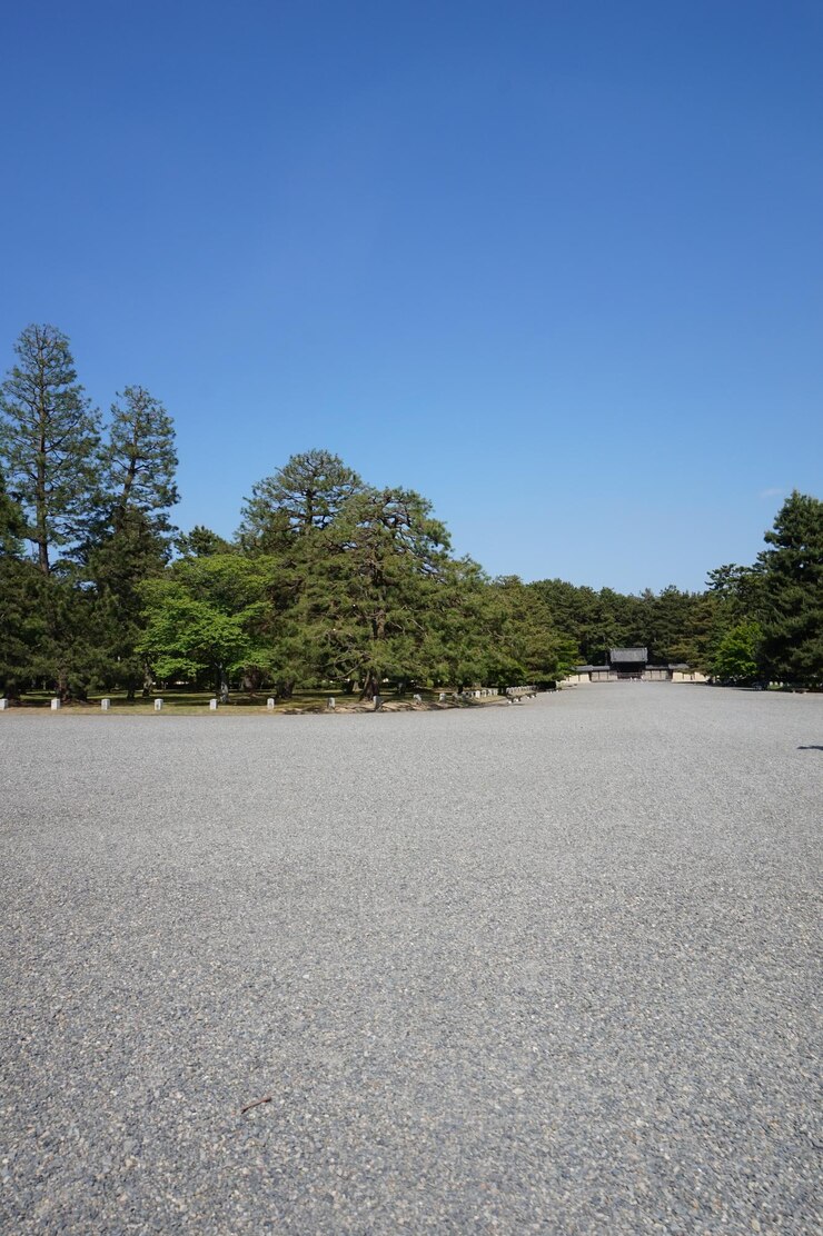 Photo a large open area with a large area of trees and a building with a blue sky behind it