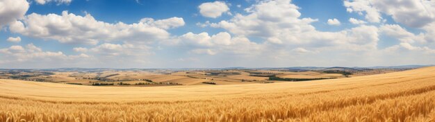 Photo a large open field