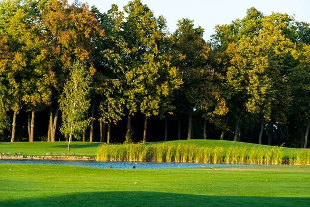 Large open manicured meadows with bushes and bushes decorated in landscaping