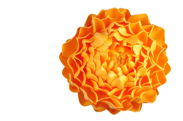 Photo large orange flower  lamp from eva foam