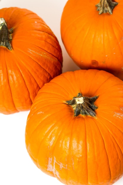 Large orange pumpkins on a white background.