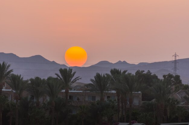 Large orange sun over mountains with palm trees at the sunset