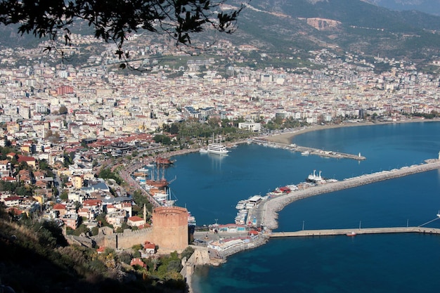 large passenger ship in the port