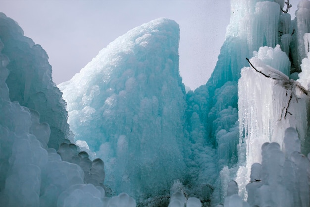 A large piece of ice and a frozen tree