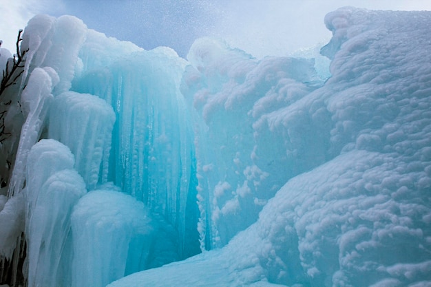 A large piece of ice and a frozen tree