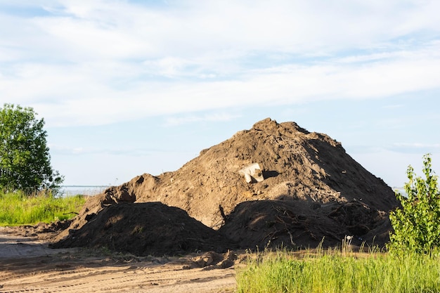 Photo a large pile of land on the shore of the bay ecology soil gentrification of the territory