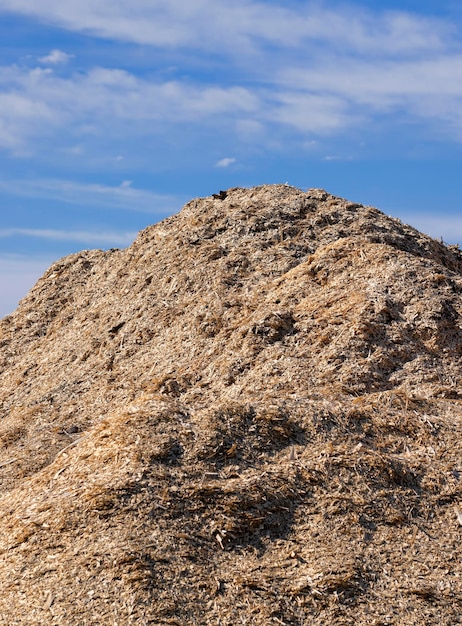 A large pile of sawdust from wood after wood processing