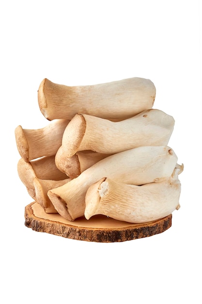 Large piles of eringi mushrooms Pleurotus eryngii stacked isolated on a white background