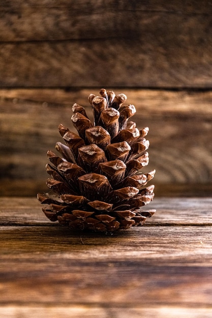 Large pine cone on a wooden background.