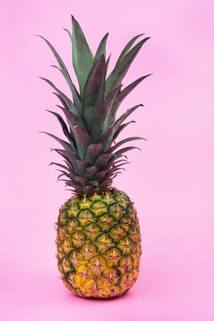 A large pineapple on a pink background