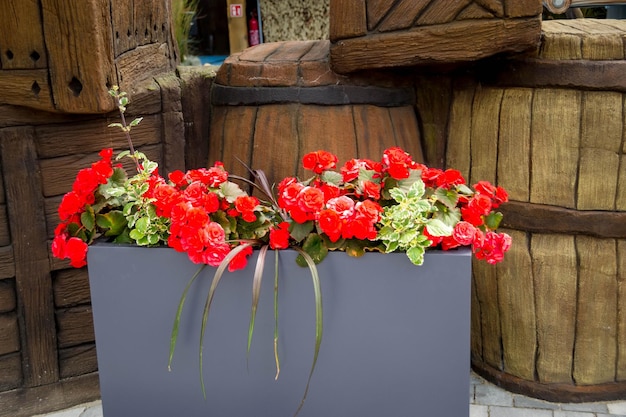 A large planter with red flowers in it