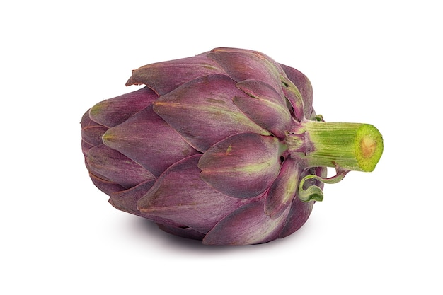 large and ripe artichoke