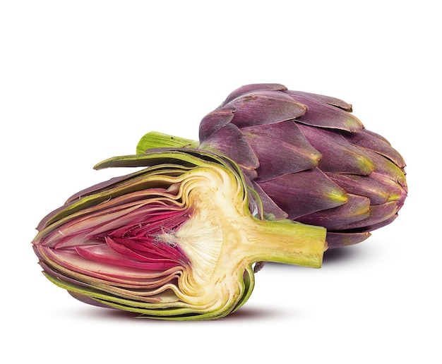 Large and ripe artichoke